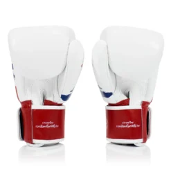 Fairtex BGV1-T Thai Pride Muay Thai Gloves -Fight Gloves Store bgv1 t 4