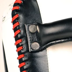 Fairtex KPLC2 Curved Standard Kick Pads -Fight Gloves Store kplc2 5