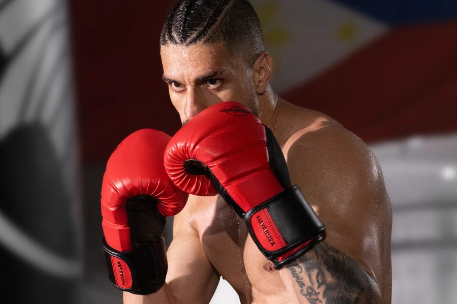 Fight Gloves Store -Fight Gloves Store best boxing gloves